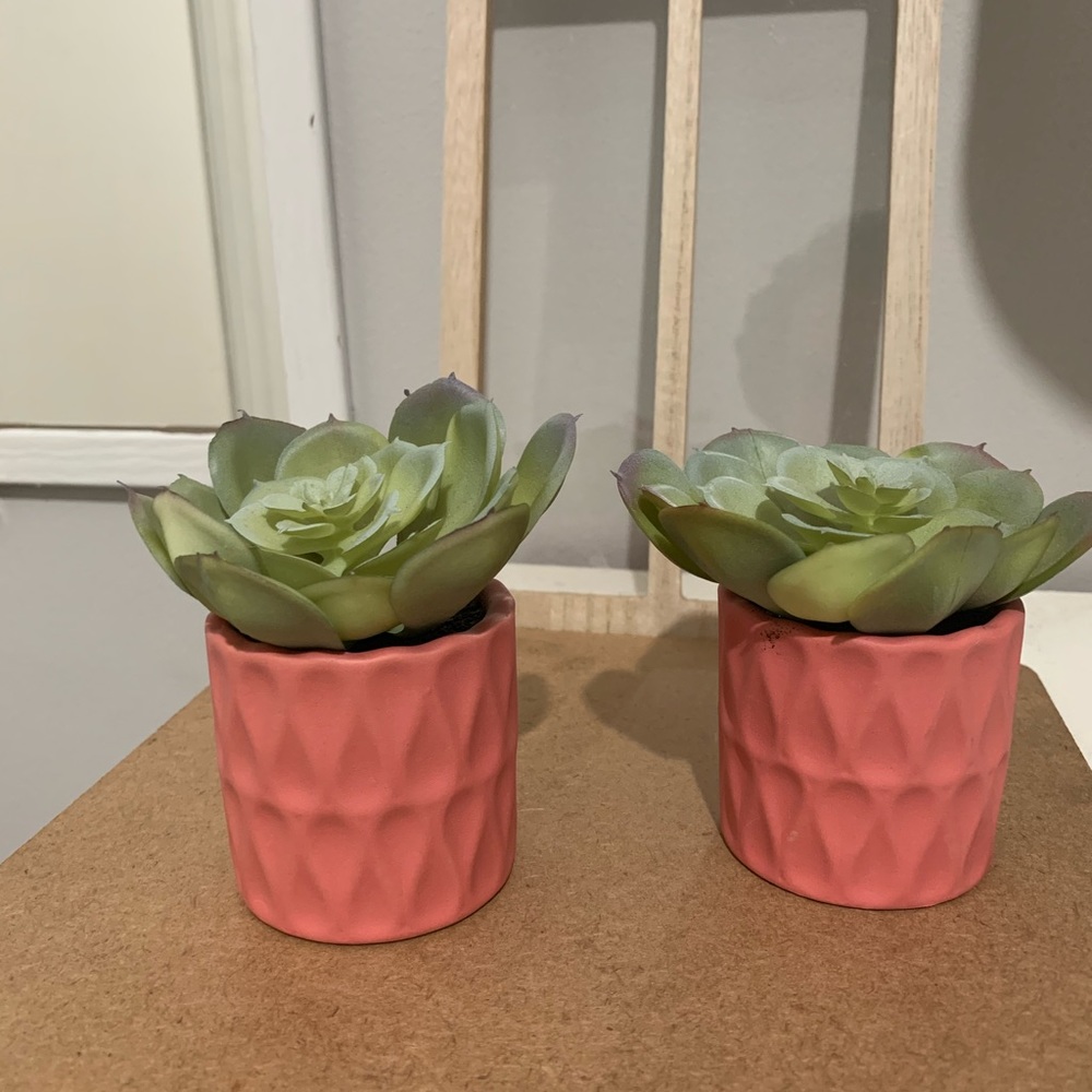 Artificial succulents